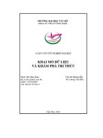 Luận văn Khai mỏ dữ liệu và khám phá tri thức