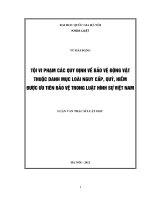 Tội vi phạm các quy định về bảo vệ động vật thuộc danh mục loài nguy cấp, quý, hiếm được ưu tiên bảo vệ trong Luật hình sự Việt Nam