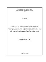 Chế tạo và khảo sát các tính chất phát quang, quang điện và điện hóa của các lớp chuyển tiếp dị chất cấu trúc Nanô