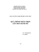 Báo cáo Quá trình nhào trộn lên men bánh mỳ