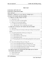 Giải pháp nâng cao hiệu quả sử dụng vốn tại công ty TNHH đầu tư thương mại Tân Cường