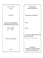 Mối liên hệ giữa trách nhiệm hình sự và hình phạt trong Luật Hình sự Việt Nam