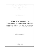 Chế tạo đầu dò sợi quang kích thước nano, sử dụng thu các mode WGM từ các vi cầu pha tạp erbium