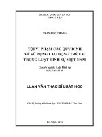 Tội vi phạm các quy định về sử dụng lao động trẻ em trong Luật Hình sự Việt Nam