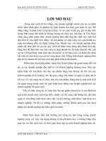 Hoàn thiện kế toán bán hàng tại Công ty cổ phần đầu tư HD