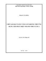 Chế tạo hạt nano vàng gắn kháng thể ứng dụng cho phát hiện nhanh viruts cúm A