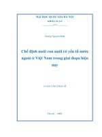 Chế định nuôi con nuôi có yếu tố nước ngoài ở Việt Nam trong giai đoạn hiện nay