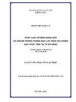 Pháp luật về bình đẳng giới và vấn đề phòng chống bạo lực giữa vợ chồng qua thực tiễn tại thành phố Đà Nẵng