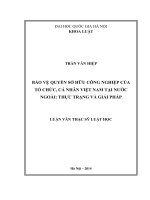 Bảo vệ quyền sở hữu công nghiệp của tổ chức, cá nhân Việt Nam tại nước ngoài thực trạng và giải pháp