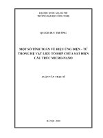 Một số tính toán về hiệu ứng điện - từ trong hệ vật liệu tổ hợp chứa sắt điện cấu trúc micro-nano