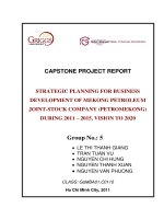 Strategic planning for business development of mekong Petroleum joint-stock company (PETROMEKONG) during 2011 - 2015 vision to 2020