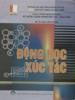 Động học xúc tác - Bài giảng cho sinh viên