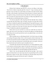 kế toán nguyên vật liệu tại Nhà máy Chế tạo phụ tùng ôtô - xe máy Detech