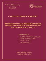 Business strategy formation for Saigon purified water limited company (Sapuwa) for the period 2013 to 2018