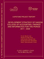 Development strategy of saigon college of accounting, finance and informatics for the period 2011 - 2020