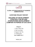 Building of development strategy for Se San hydropower development company in the period of 2013-2018