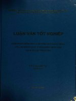 Giải pháp nhằm nâng cao hiệu quả hoạt động của hệ thống đại lý bảo hiểm nhân thọ tại Bảo Việt nhân thọ