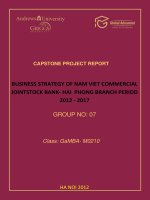 Business strategy of Nam Viet commercial jointstock bank - Hai Phong branch period 2012 - 2017 capstone project report Ha Noi