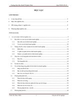 Phân tích tình hình tài chính của công ty TNHH Lữ hành Quốc Tế Chân Trời Việt