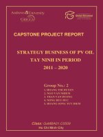 Strategy business of PV OIL Tay Ninh in period 2011 - 2020