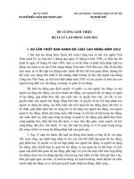 ĐỀ CƯƠNG GIỚI THIỆU  BỘ LUẬT LAO ĐỘNG NĂM 2012