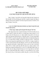 ĐỀ CƯƠNG GIỚI THIỆU LUẬT BẢO VỆ QUYỀN LỢI NGƯỜI TIÊU DÙNG NĂM 2010