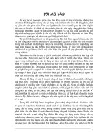 Chế độ tỷ giá thả nổi có điều tiết Kinh nghiệm quốc tế và chính sách tỷ giá hối đoái của Việt Nam