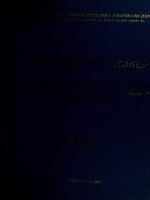 Giải pháp nâng cao hiệu quả kinh doanh của Tổng công ty đầu tư phát triển hạ tầng đô thị giai đoạn 2006 - 2010