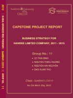 Business strategy for Handee limited company, 2011 - 2015