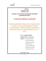 Development strategy for petro capital and infrastructureinvestment joint stock company (petroland) in the period of 2011 - 2015