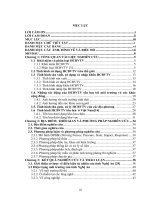 Đánh giá hiện trạng ô nhiễm môi trường do hóa chất bảo vệ thực vật tồn lưu tại một số điểm ở Nghệ An và đề xuất phương án xử lý