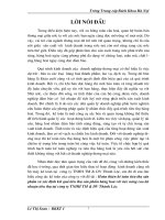 Hoàn thiện kế toán tiêu thụ sản phẩm và xác định kết quả tiêu thụ sản phẩm hàng hoá với việc nâng cao lợi nhuận tiêu thụ tại công ty TNHH TM & DV Thành Lộc
