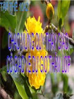 Bài giảng bài 27: Cơ năng  Vật lý lớp 10