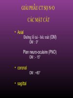 Slide bài giảng về giải phẫu trong chẩn đoán hình ảnh CT sọ não