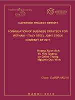 Formulation of business strategy for Vietnam - Italy steel joint stock company by 2017