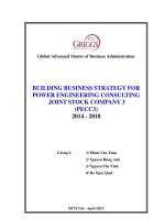 Building business strategy for power engineering consulting joint stock company 3 (Pecc3) 2014 - 2018