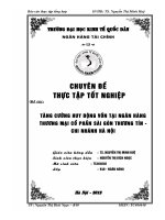 Giải pháp tăng cường huy động vốn tại Ngân hàng SacomBank – chi nhánh Hà Nội