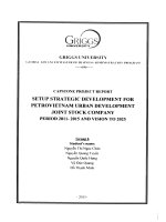 Setup strategic development for Petrovietnam Urban Development Joint Stock Company period 2011-2015 and vision to 2025