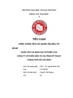 PHÂN TÍCH VÀ ĐỊNH GIÁ CỔ PHIẾU CỦA CÔNG TY CỔ PHẦN ĐẦU TƯ HẠ TẦNG KỸ THUẬT THÀNH PHỐ HỒ CHÍ MINH