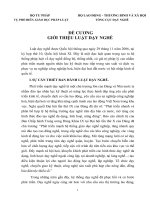 ĐỀ CƯƠNG GIỚI THIỆU LUẬT DẠY NGHỀ NĂM 2006