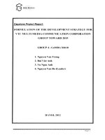 Formulation of the development strategy for VTC Multi-Media Communication Corporation Group toward 2015