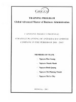 Strategy planning of Anh Khai Ky limited company in the period of 2011-2015