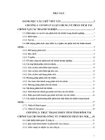 Phân tích tài chính doanh nghiệp và những giải pháp góp phần nhằm nâng cao khả năng tài chính trong Chi nhánh Công ty TNHH Ích Trân Hà Nội