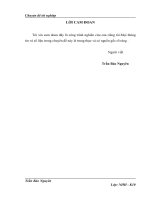 Giải pháp nâng cao hiệu quả tín dụng trung- dài hạn tại Ngân Hàng Nông Nghiệp Và Phát Triển Nông Thôn Việt Nam- Chi Nhánh Hoàng Mai