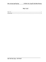 Kế  toán xác định kết quả tiêu thụ hàng hoá tại Công ty TNHH  Dịch Vụ Công Nghệ Thông Tin TSI