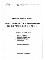 Business strategy of alphanam paints for the period from 2010 to 2015