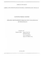 Strategy development phase of five years (2010-1015) of the SOTRACO