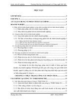 Phân tích tính hình tài chính tại công ty TNHH Minh Trí