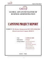 The Business Strategy period 2011-2020 of Binh Dinh Minerals Joint-Stock Company (BIMICO)