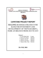 Building business strategy for bank for investment and development of Vietnam (BIDV) Nghe An branch from 2010 to 2015